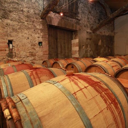 Chateau De Mayragues Castelnau-de-Montmiral Экстерьер фото