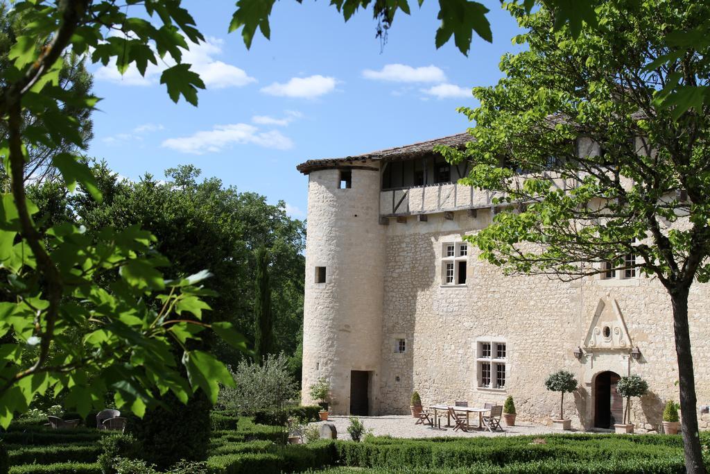 Chateau De Mayragues Castelnau-de-Montmiral Экстерьер фото