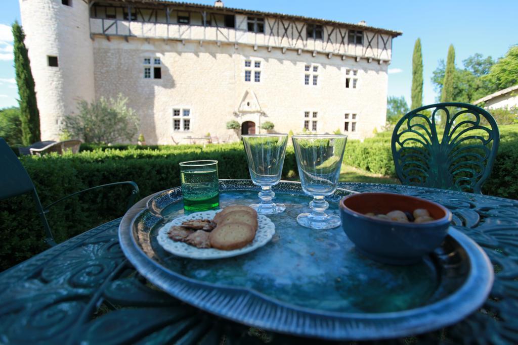 Chateau De Mayragues Castelnau-de-Montmiral Экстерьер фото