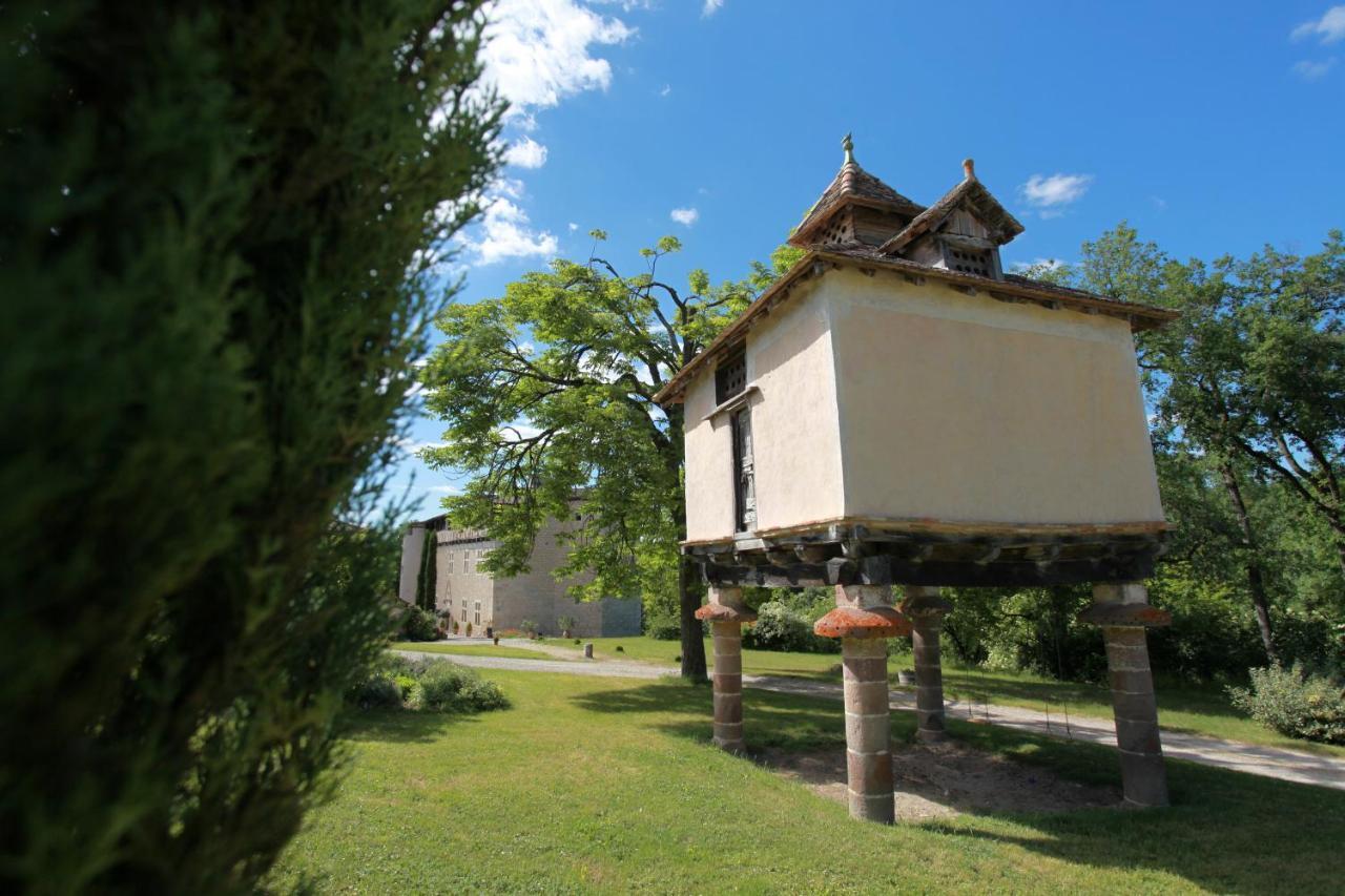 Chateau De Mayragues Castelnau-de-Montmiral Экстерьер фото